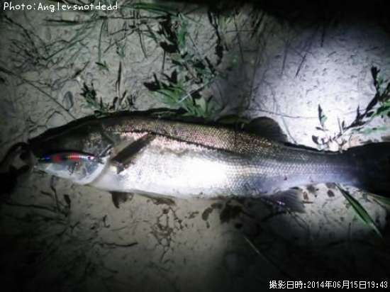 �����Х�