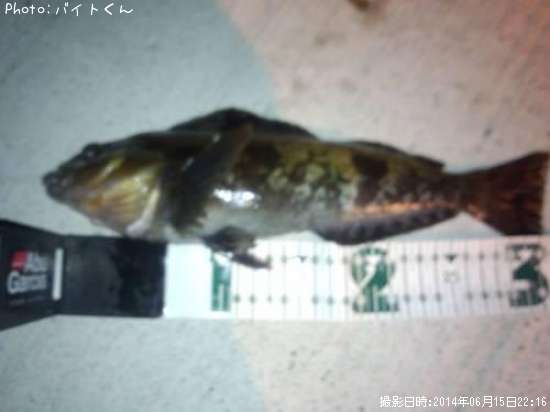 �����ʥ�