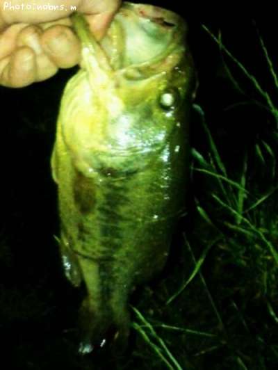 �֥�å��Х�