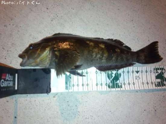 �����ʥ�