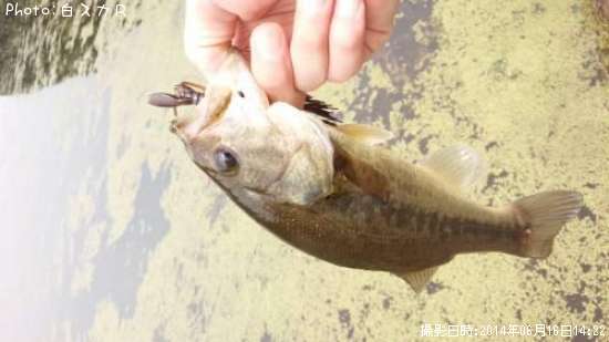 �顼���ޥ����Х�