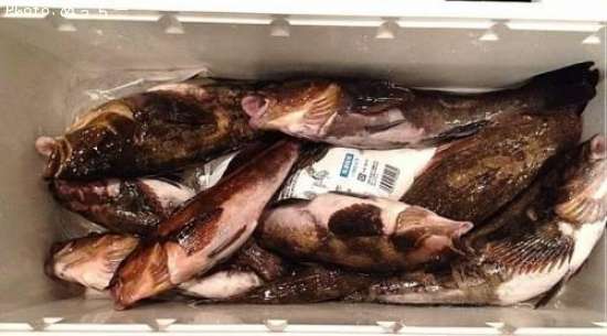 �����ʥ�