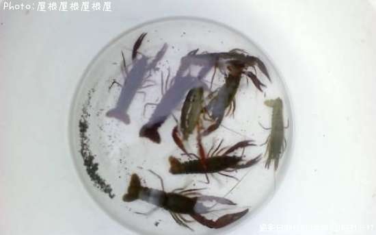 ��������Ϸ�ʡ�������