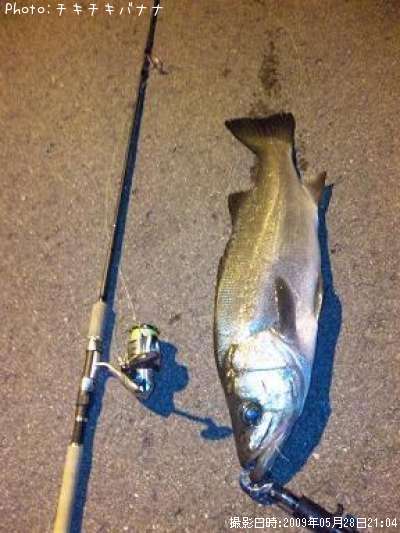 �ҥ饹����