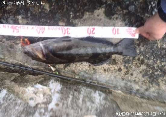 �����ʥ�