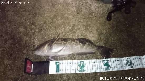 �����ʥ�