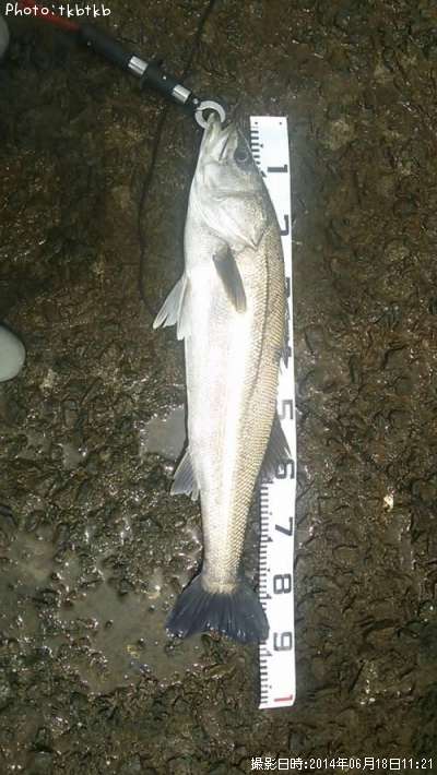 �����Х�