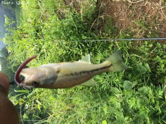 �֥�å��Х�