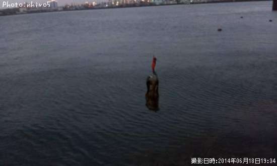 �����ꥤ��