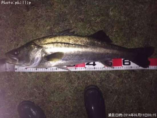 �����Х�