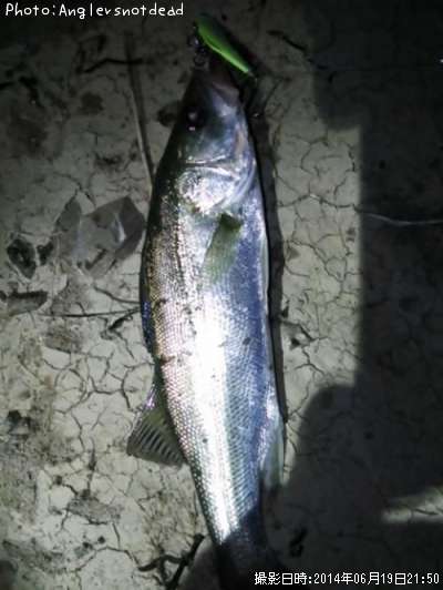 �����Х�