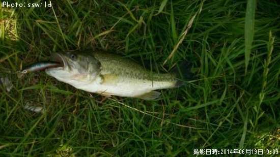 �֥�å��Х�