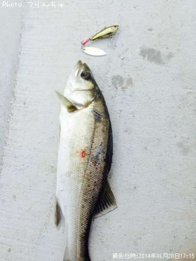 �����Х�