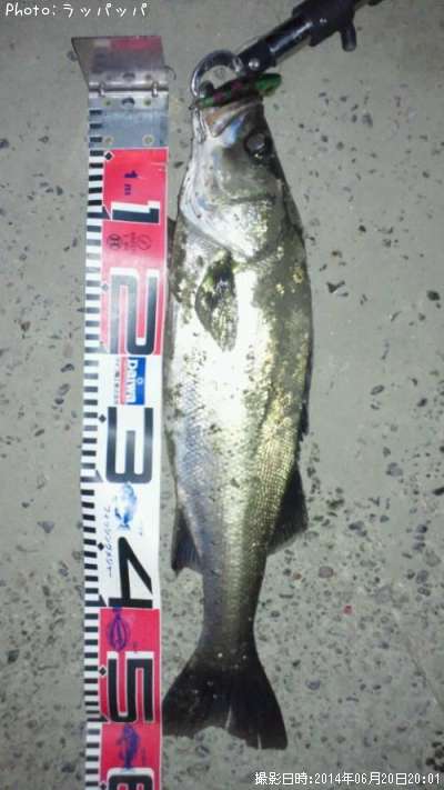 �����Х�