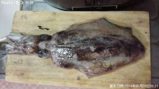 �����ꥤ��