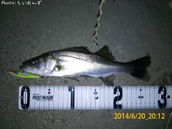 �����Х���