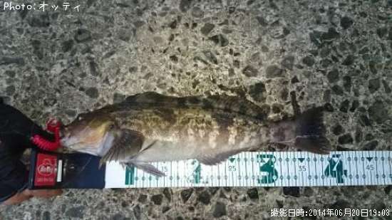 �����ʥ�