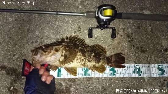 �٥å�������