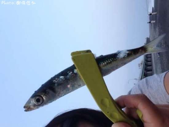 �ȥ����������亮