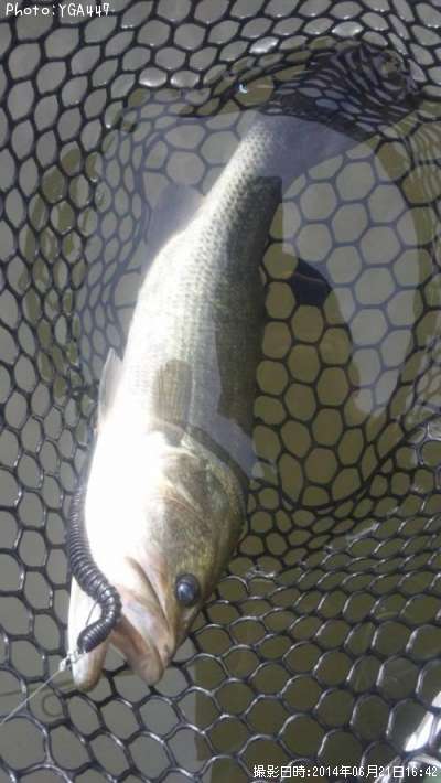 �֥�å��Х�