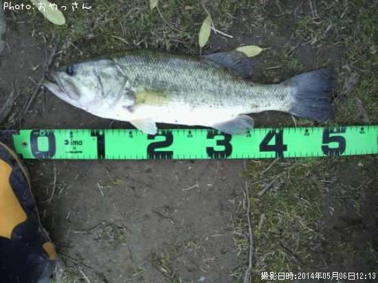 �֥�å��Х�