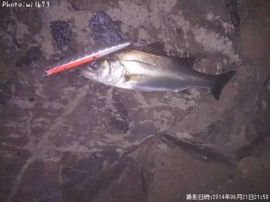 �����Х�