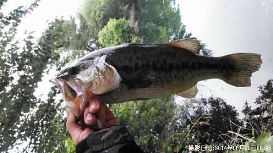 �֥�å��Х�