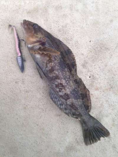 �����ʥ�