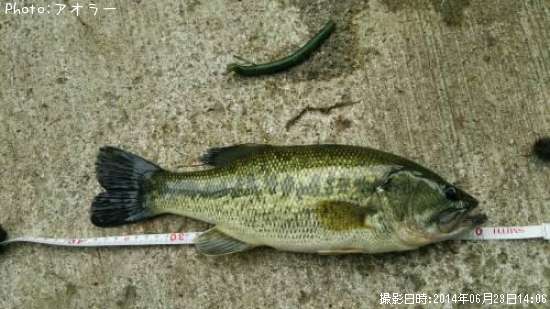 �֥�å��Х�