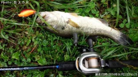 �顼���ޥ����Х�