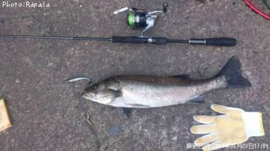 �����Х�