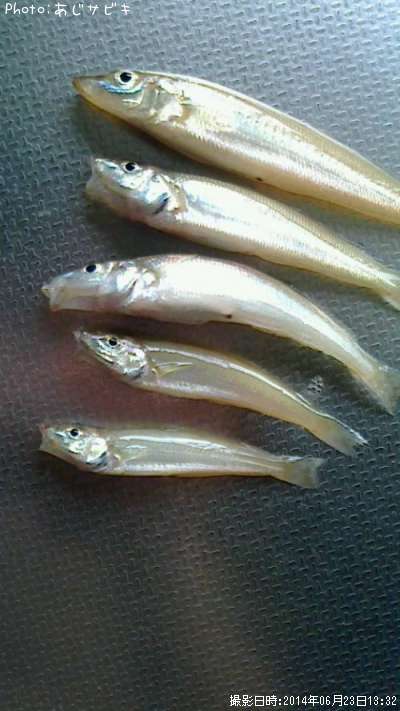 �����ȥե�