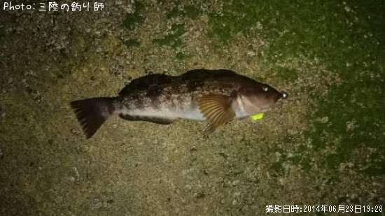 �����ʥ�