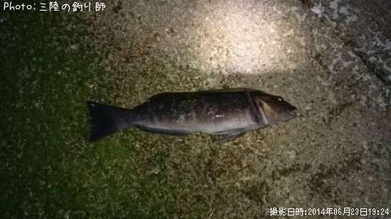 �����ʥ�