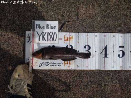 �����ʥ�