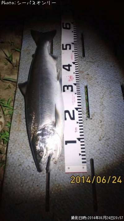 ������ޥ�