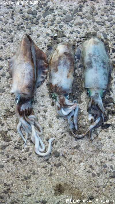 �����ꥤ��