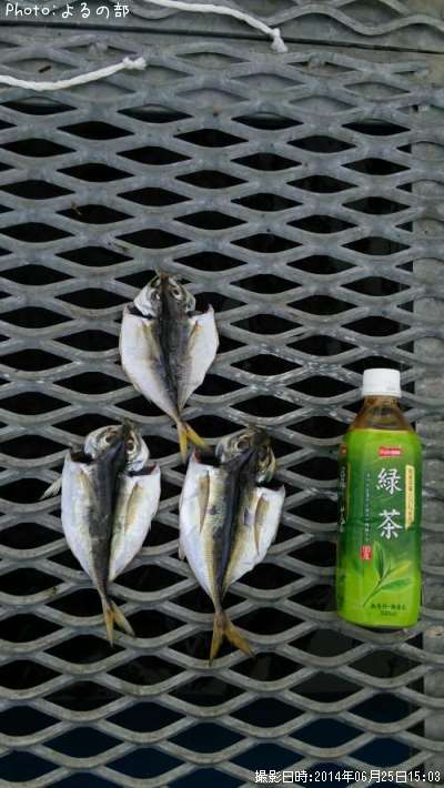 �������ʴ�ʪ��