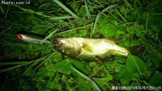 �֥�å��Х�