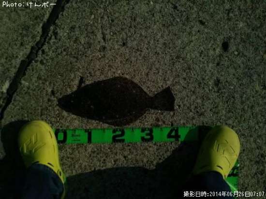 �ҥ��