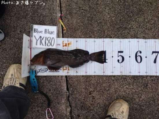 �����ʥ�