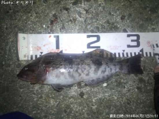 �����ʥ�