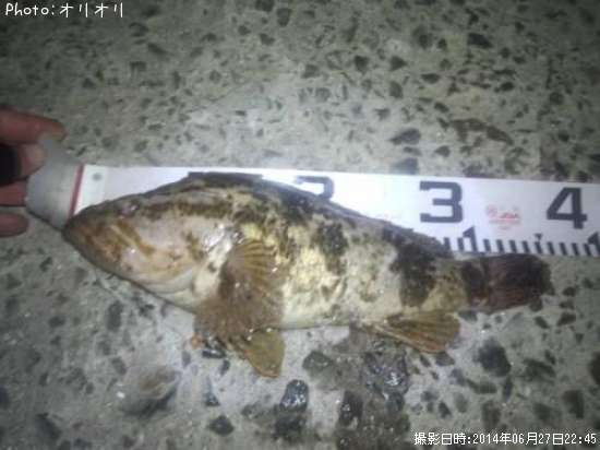 �٥å�������