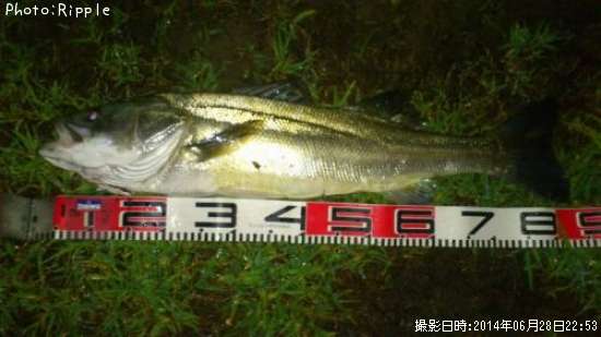 �����Х�