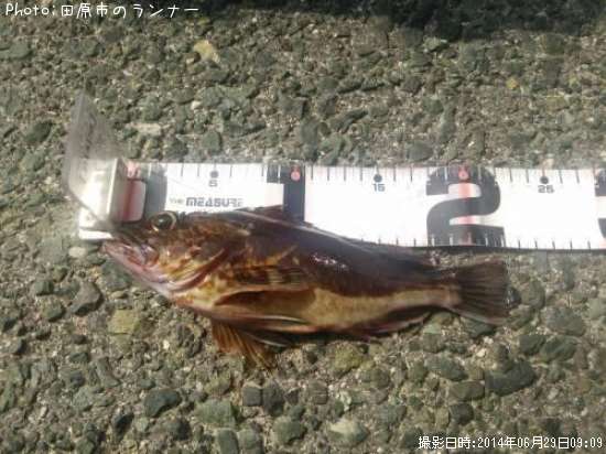 �������ȥ����Υ���Х�