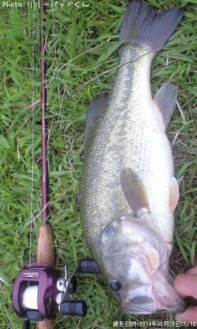 �£̣��ãˡ��£��ӣ�