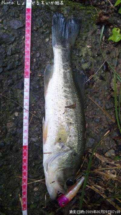 �֥�å��Х�