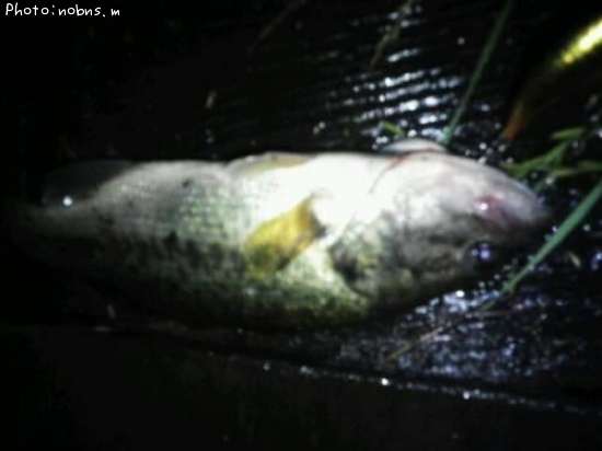 �֥�å��Х�