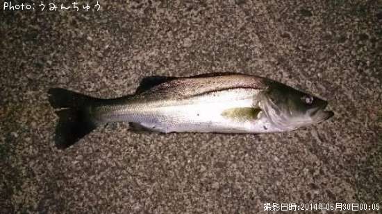 �����Х�