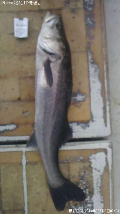 �����Х�